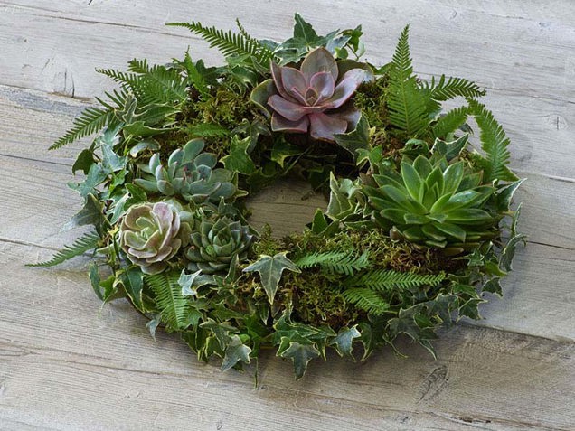 Living Succulent Wreath image