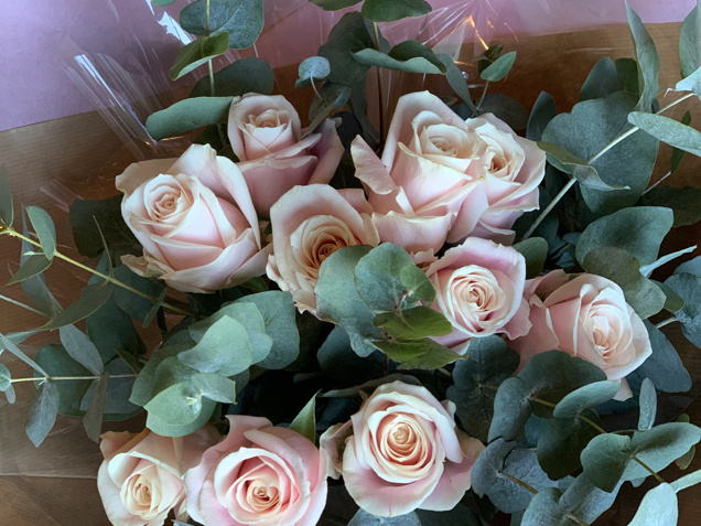 Pink Roses and Eucalyptus image