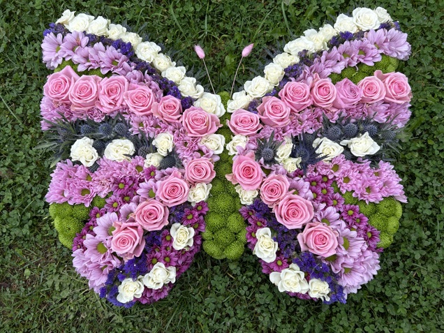 Butterfly image